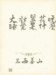 大壮翠花晚上不睡觉是什么电视剧封面
