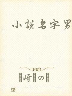 小说名字男生