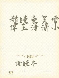 赵晓东吴雪晴郑伟王潇潇小说名字