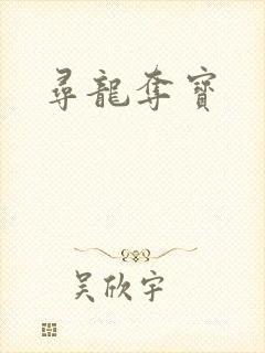 寻龙夺宝