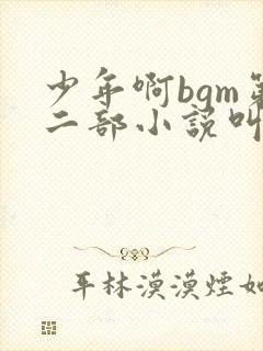 少年啊bgm第二部小说叫什么