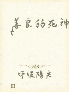 善良的死神txt