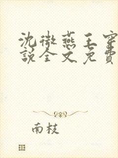 沈微燕王穿越小说全文免费阅读