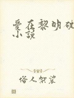 爱在黎明破晓前小说封面