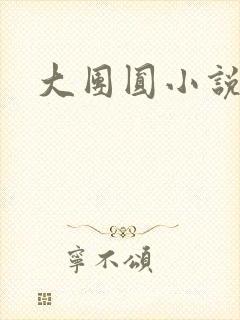 大团圆小说