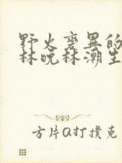 野火变异的父爱林晚林潮生