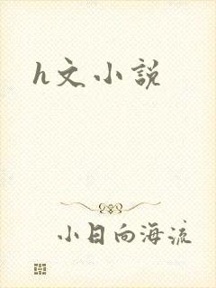 h文小说封面
