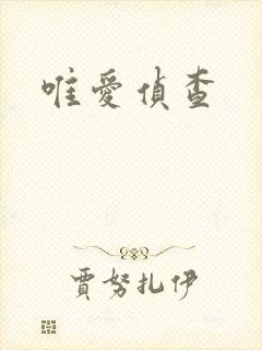 唯爱侦查