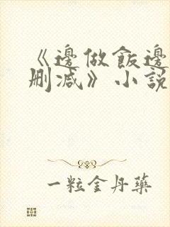《边做饭边躁无删减》小说