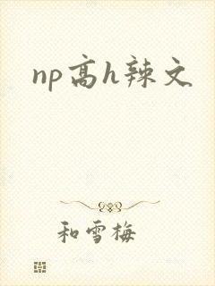 np高h辣文封面