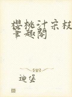 樱桃汁宋枝江野笔趣阁封面