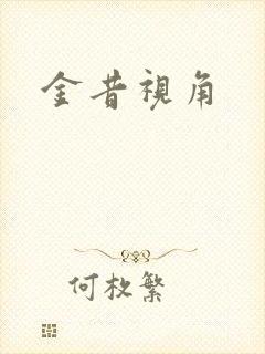 金昔视角封面