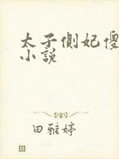 太子侧妃傻乎乎小说