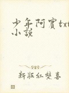少年阿宾txt小说