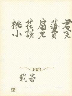 桃花扇落君不还小说免费完整版封面