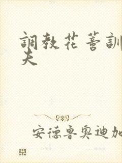 调教花蒂训诫从夫封面