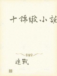 十锦缎小说