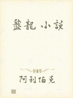 盘龙 小说