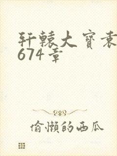 轩辕大宝袁雪妃674章