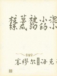 校草被小混混训练成狗的小说
