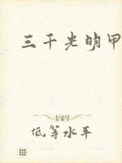 三千光明甲