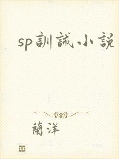 sp训诫小说
