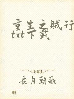 重生之贼行天下txt下载