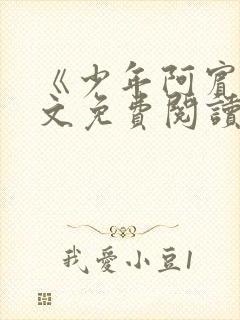 《少年阿宾》全文免费阅读