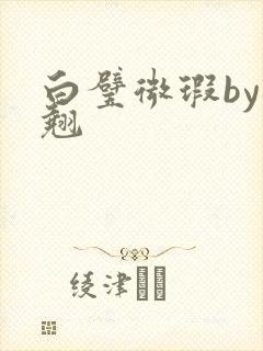 白璧微瑕by连翘封面
