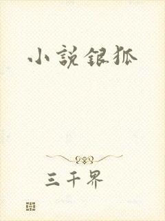 小说银狐