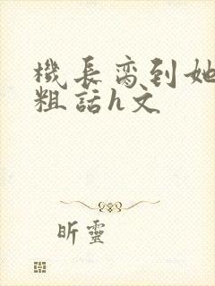 机长脔到她哭h粗话h文封面