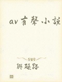 av有声小说