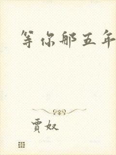 等你那五年