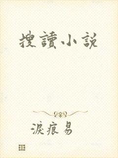 搜读小说封面