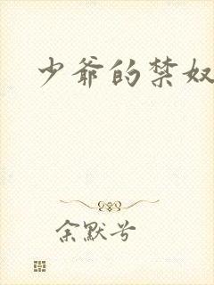 少爷的禁奴封面