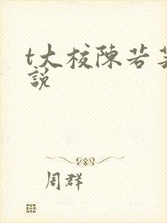 t大校陈若芸小说