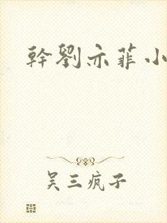 干刘亦菲小说
