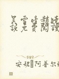 吴雪晴赵晓东小说免费阅读封面