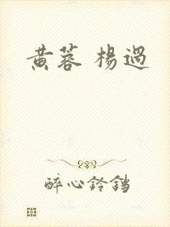 黄蓉 杨过