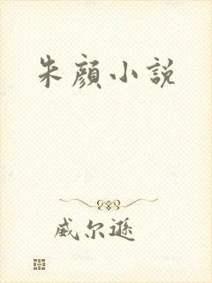 朱颜小说
