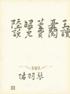 陆昭菱晋王的小说免费阅读