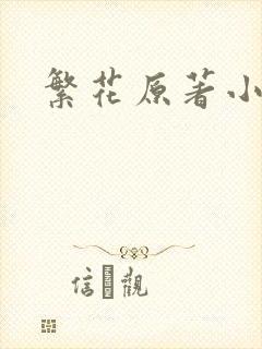 繁花原著小说