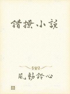 错撩小说