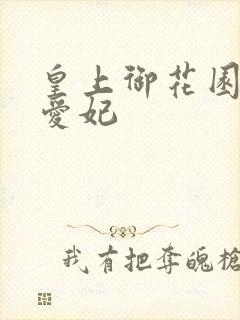 皇上御花园中要爱妃封面
