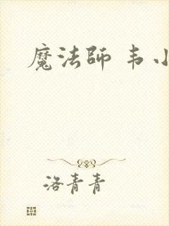 魔法师 韦小宝