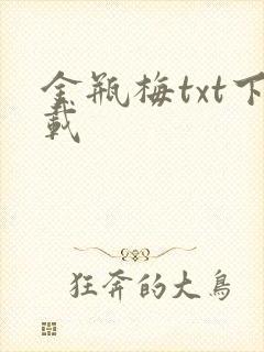 金瓶梅txt下载