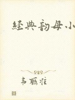 经典韵母小说封面