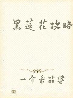 黑莲花攻略手册封面