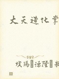 大天造化掌
