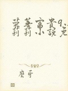 荣华富贵9小王莉莉小说免费阅读